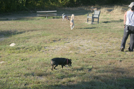 20250903_Home and dog park__DSC0103_.jpg