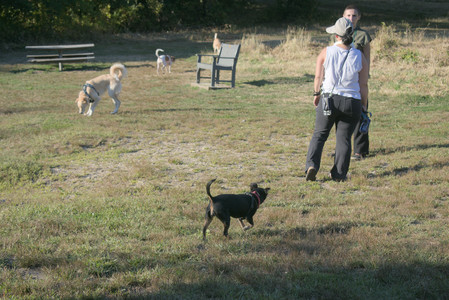 20250903_Home and dog park__DSC0104_.jpg