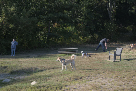 20250903_Home and dog park__DSC0105_.jpg