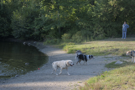 20250903_Home and dog park__DSC0107_.jpg