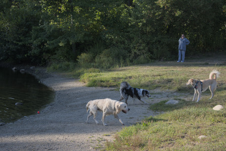 20250903_Home and dog park__DSC0108_.jpg