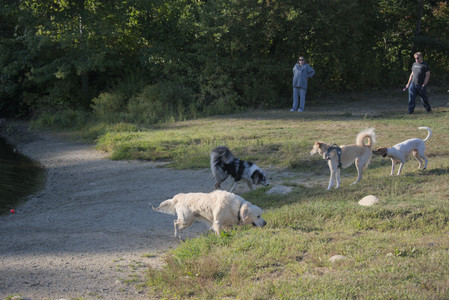 20250903_Home and dog park__DSC0109_.jpg