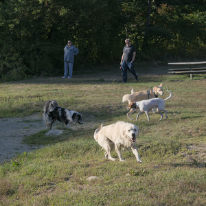 20250903_Home and dog park__DSC0110_.jpg