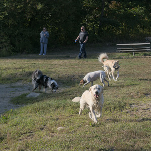 20250903_Home and dog park__DSC0111_.jpg