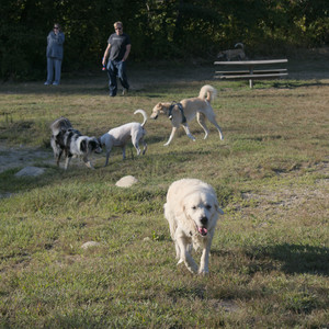 20250903_Home and dog park__DSC0112_.jpg