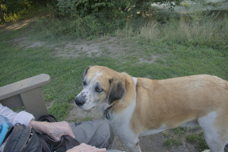 20250903_Home and dog park__DSC0114_.jpg