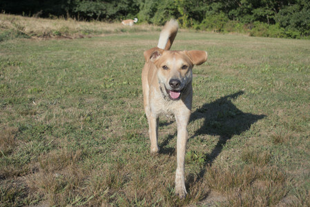 20250903_Home and dog park__DSC0123_.jpg