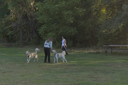 20250903_Home and dog park__DSC0130_.jpg