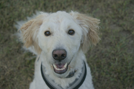 20250903_Home and dog park__DSC0139_.jpg