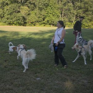 20250903_Home and dog park__DSC0145_.jpg