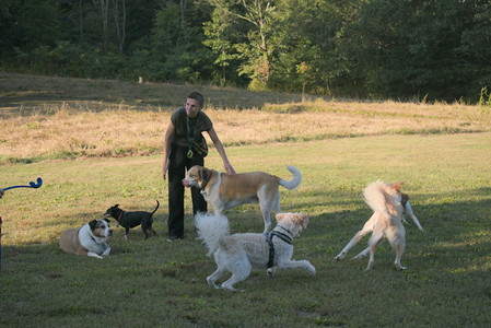 20250903_Home and dog park__DSC0146_.jpg