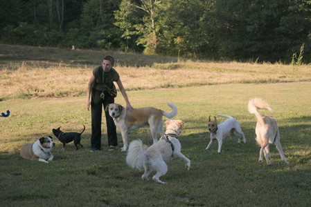 20250903_Home and dog park__DSC0147_.jpg