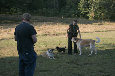 20250903_Home and dog park__DSC0148_.jpg