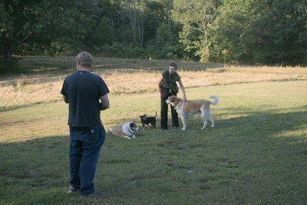 20250903_Home and dog park__DSC0149_.jpg