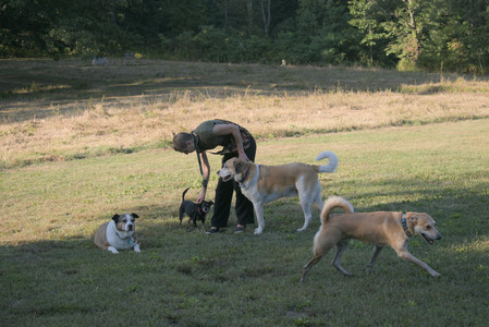 20250903_Home and dog park__DSC0151_.jpg