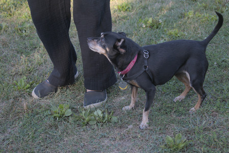 20250903_Home and dog park__DSC0161_.jpg