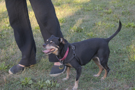 20250903_Home and dog park__DSC0162_.jpg