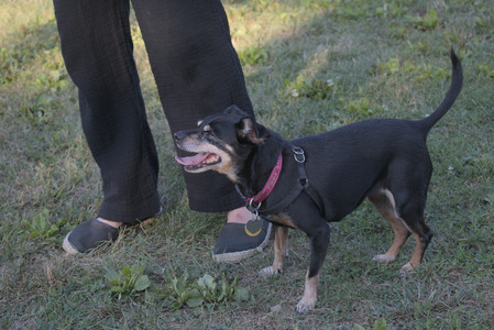 20250903_Home and dog park__DSC0163_.jpg