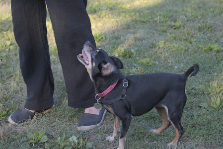 20250903_Home and dog park__DSC0164_.jpg