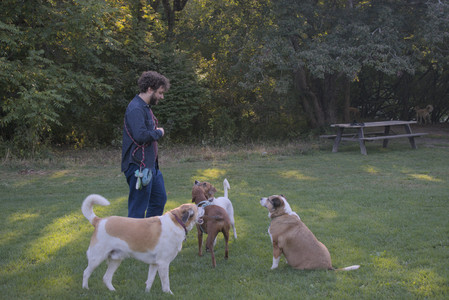 20250903_Home and dog park__DSC0172_.jpg