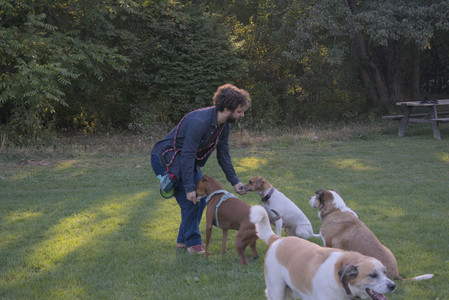 20250903_Home and dog park__DSC0173_.jpg