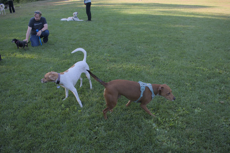 20250903_Home and dog park__DSC0175_.jpg