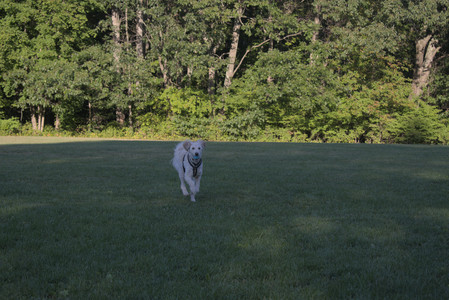 20250903_Home and dog park__DSC0188_.jpg