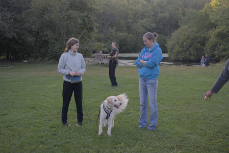 20250903_Home and dog park__DSC0201_.jpg