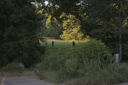 20250903_Home and dog park__DSC0204_.jpg