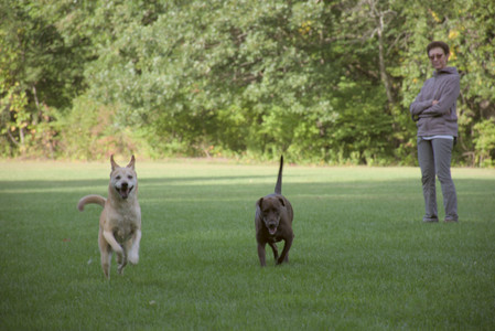 20250910_Thisbe and Dog Park__DSC0112_.jpg