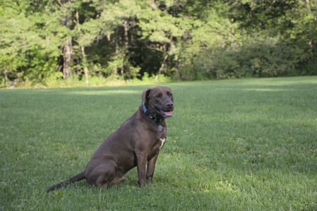 20250910_Thisbe and Dog Park__DSC0118_.jpg