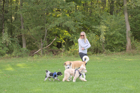 20250910_Thisbe and Dog Park__DSC0120_.jpg