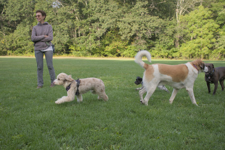 20250910_Thisbe and Dog Park__DSC0132_.jpg