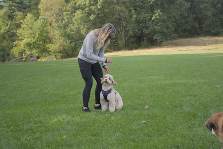 20250910_Thisbe and Dog Park__DSC0138_.jpg