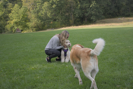 20250910_Thisbe and Dog Park__DSC0140_.jpg