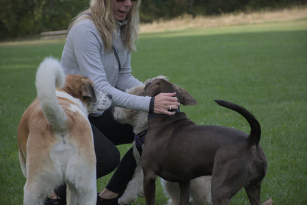 20250910_Thisbe and Dog Park__DSC0141_.jpg