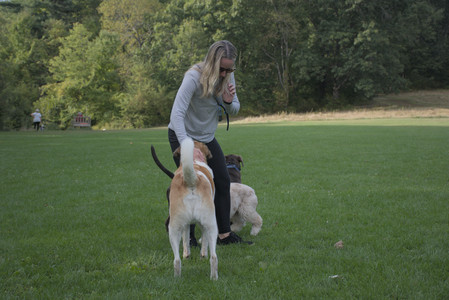 20250910_Thisbe and Dog Park__DSC0144_.jpg