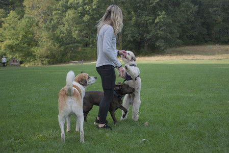 20250910_Thisbe and Dog Park__DSC0147_.jpg