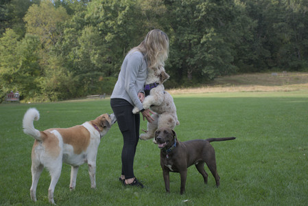 20250910_Thisbe and Dog Park__DSC0149_.jpg