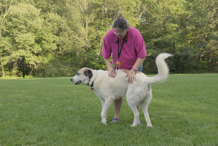 20250910_Thisbe and Dog Park__DSC0156_.jpg