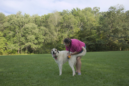 20250910_Thisbe and Dog Park__DSC0157_.jpg