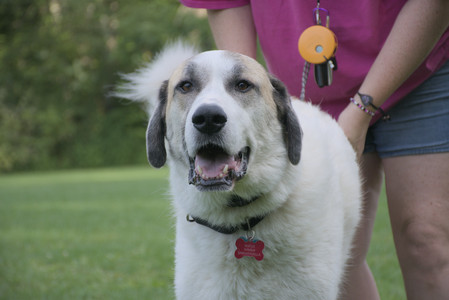 20250910_Thisbe and Dog Park__DSC0166_.jpg