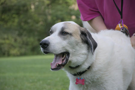 20250910_Thisbe and Dog Park__DSC0167_.jpg