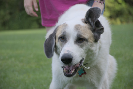 20250910_Thisbe and Dog Park__DSC0169_.jpg