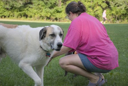 20250910_Thisbe and Dog Park__DSC0171_.jpg