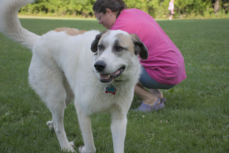 20250910_Thisbe and Dog Park__DSC0172_.jpg