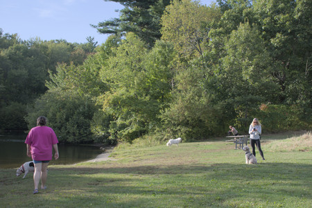 20250910_Thisbe and Dog Park__DSC0180_.jpg