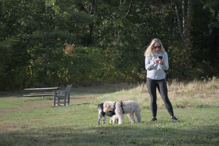 20250910_Thisbe and Dog Park__DSC0182_.jpg