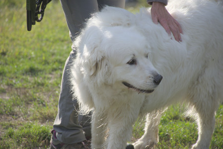 20250910_Thisbe and Dog Park__DSC0202_.jpg