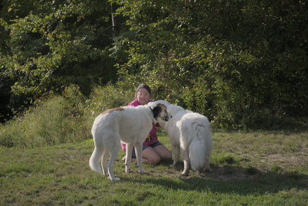 20250910_Thisbe and Dog Park__DSC0214_.jpg